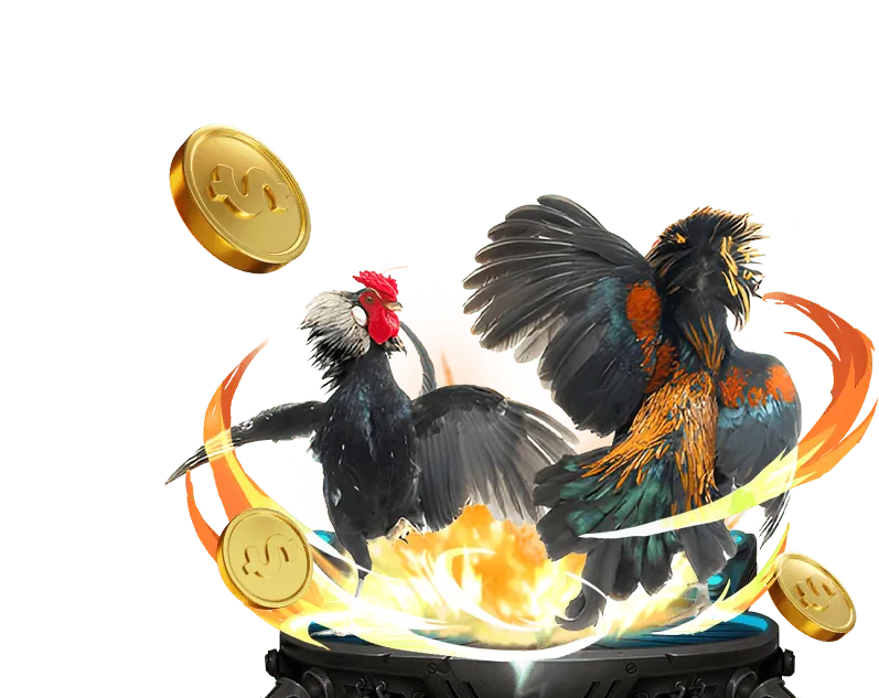 Hoàn trả hàng ngày cho cược đá gà ku711 win